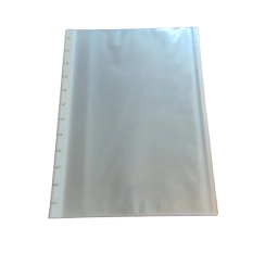 FUNDAS REPUESTOS X10 CARPETA REMOVIBLE