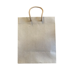 BOLSA DE PAPEL 22x18x10CM 180G PACK X12